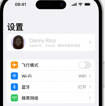 张家川appleID维修服务iPhone设置中Apple ID显示为灰色无法使用 