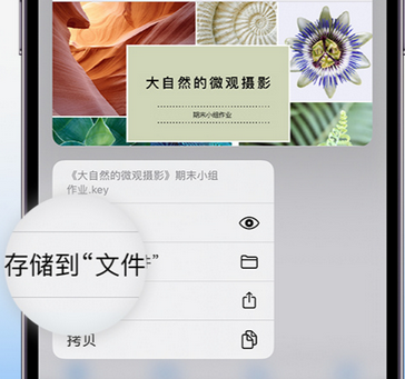 张家川apple维修中心分享iPhone文件应用中存储和找到下载文件