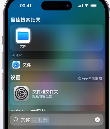 张家川apple维修中心分享iPhone文件应用中存储和找到下载文件 