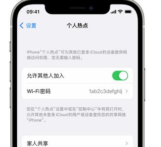 张家川apple服务站点分享iPhone上个人热点丢失了怎么办 