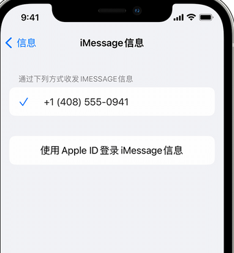 张家川apple维修iPhone上无法正常发送iMessage信息 