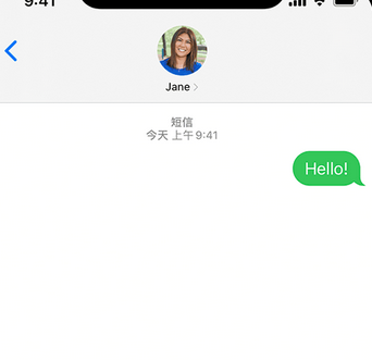 张家川apple维修iPhone上无法正常发送iMessage信息