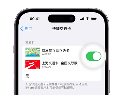 张家川apple维修点分享iPhone上更换Apple Pay快捷交通卡手绘卡面 