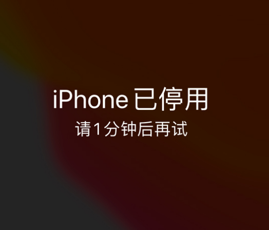 张家川苹果手机维修分享:iPhone 显示“不可用”或“已停用”怎么办？还能保留数据吗？ 