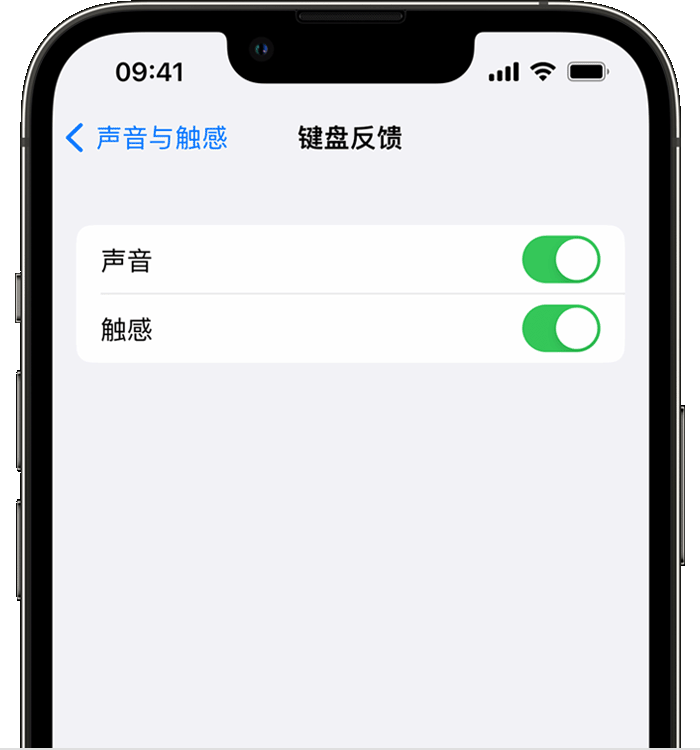 张家川苹果14维修店分享如何在 iPhone 14 机型中使用触感键盘 