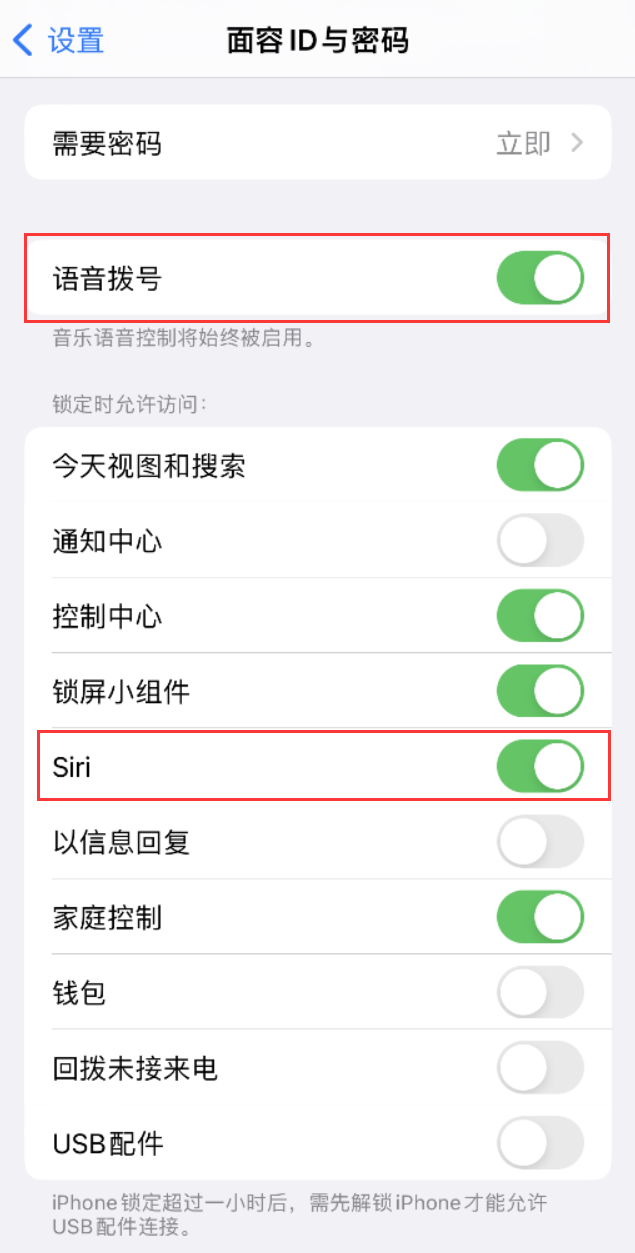 张家川苹果维修网点分享不解锁 iPhone 的情况下通过 Siri 拨打电话的方法 