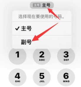 张家川苹果14维修店分享iPhone 14 Pro Max使用副卡打电话的方法 