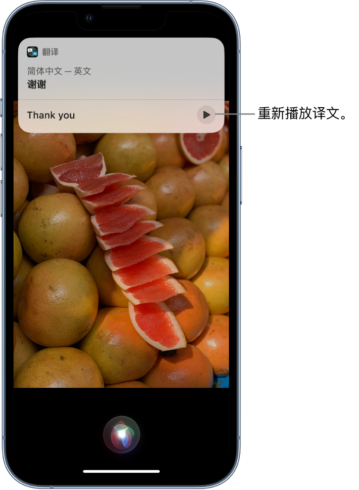 张家川苹果14维修分享 iPhone 14 机型中使用 Siri：了解 Siri 能帮你做什么 