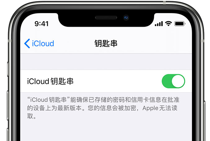 张家川苹果手机维修分享在 iPhone 上开启 iCloud 钥匙串之后会储存哪些信息 