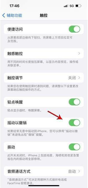 张家川苹果手机维修分享iPhone手机如何设置摇一摇删除文字 