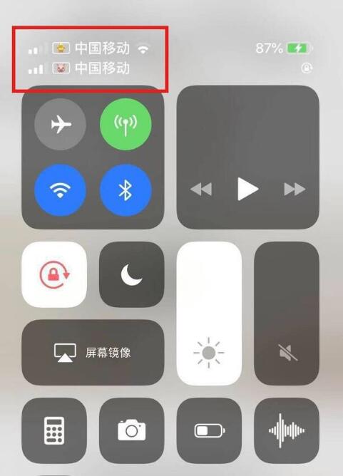 张家川苹果手机维修分享为 iPhone 12 双卡设置标签 